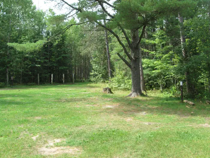 Swan Lake Campsites photo 3
