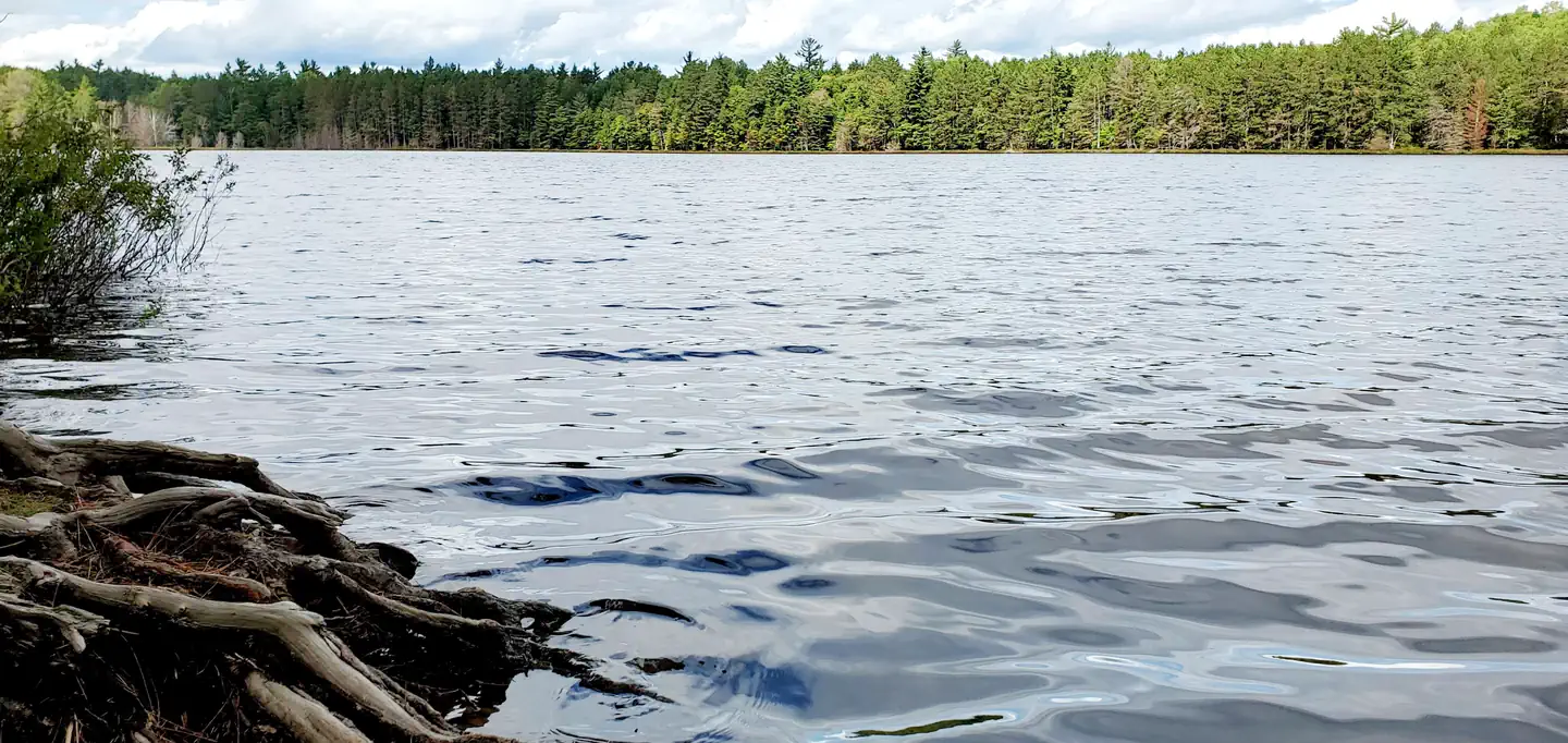 Swan Lake Campsites photo 5