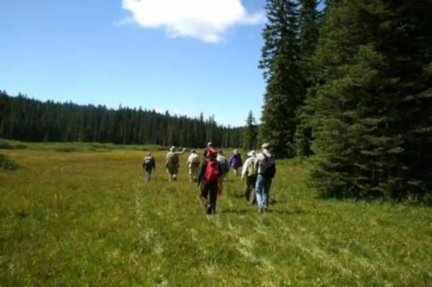 Sweet Home Nature and Heritage Tours photo 3