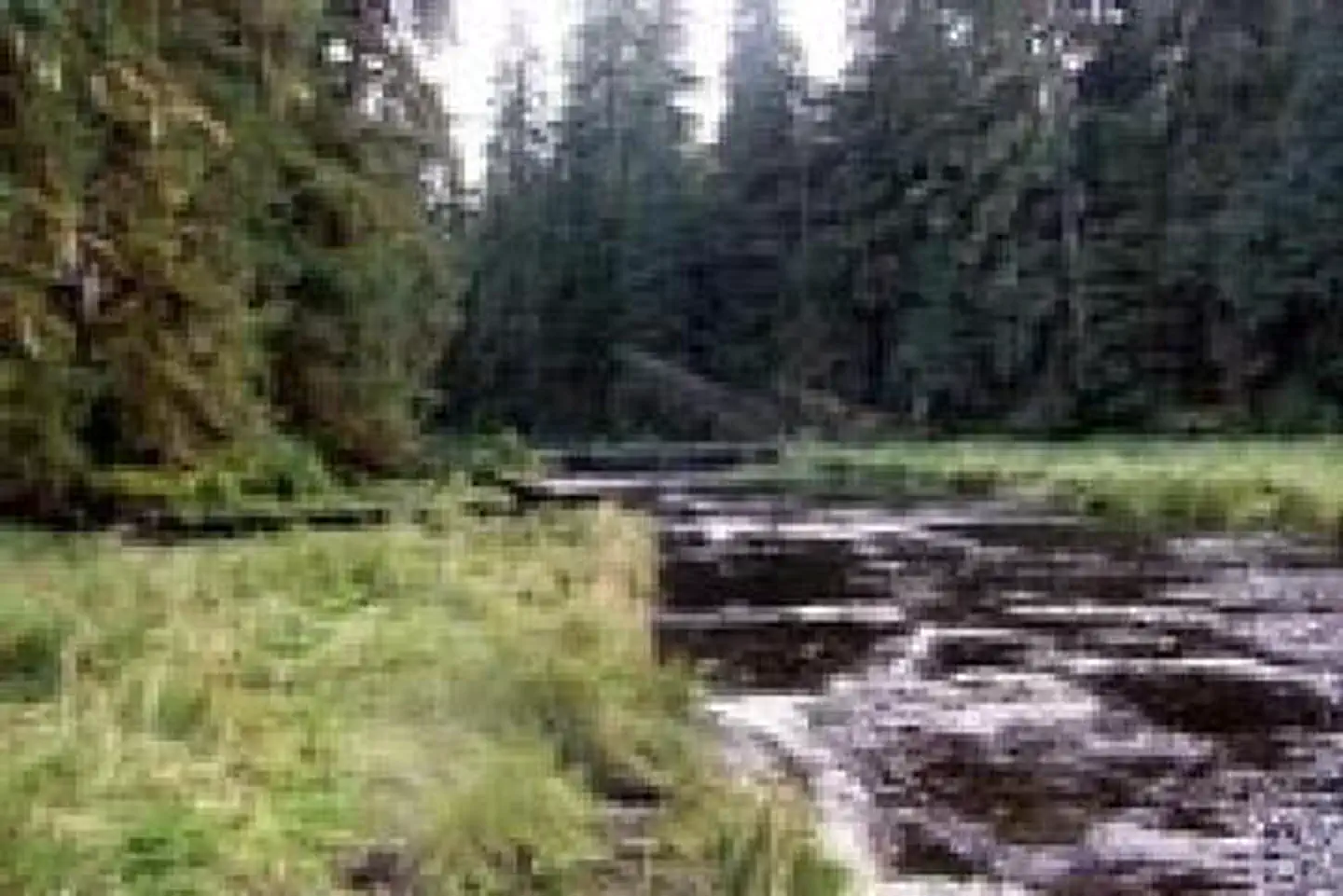 SWEET WATER LAKE CABIN photo 4