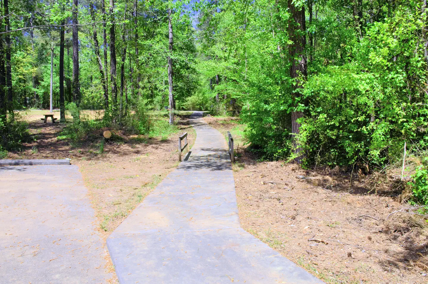 SWEETWATER DAY USE AREA (GA) photo 2