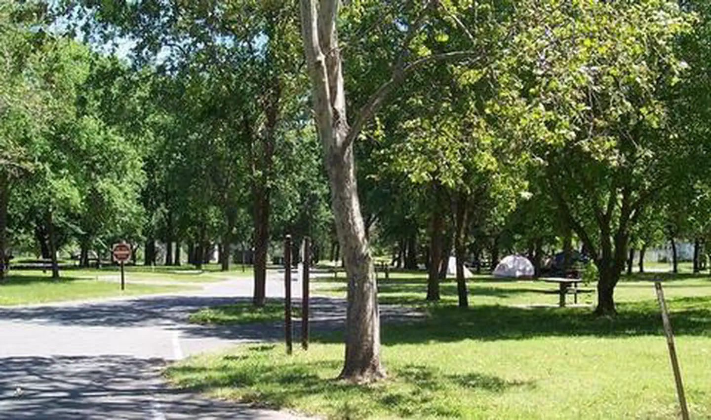 SYCAMORE GROVE (RED BLUFF) CAMPGROUND photo 3