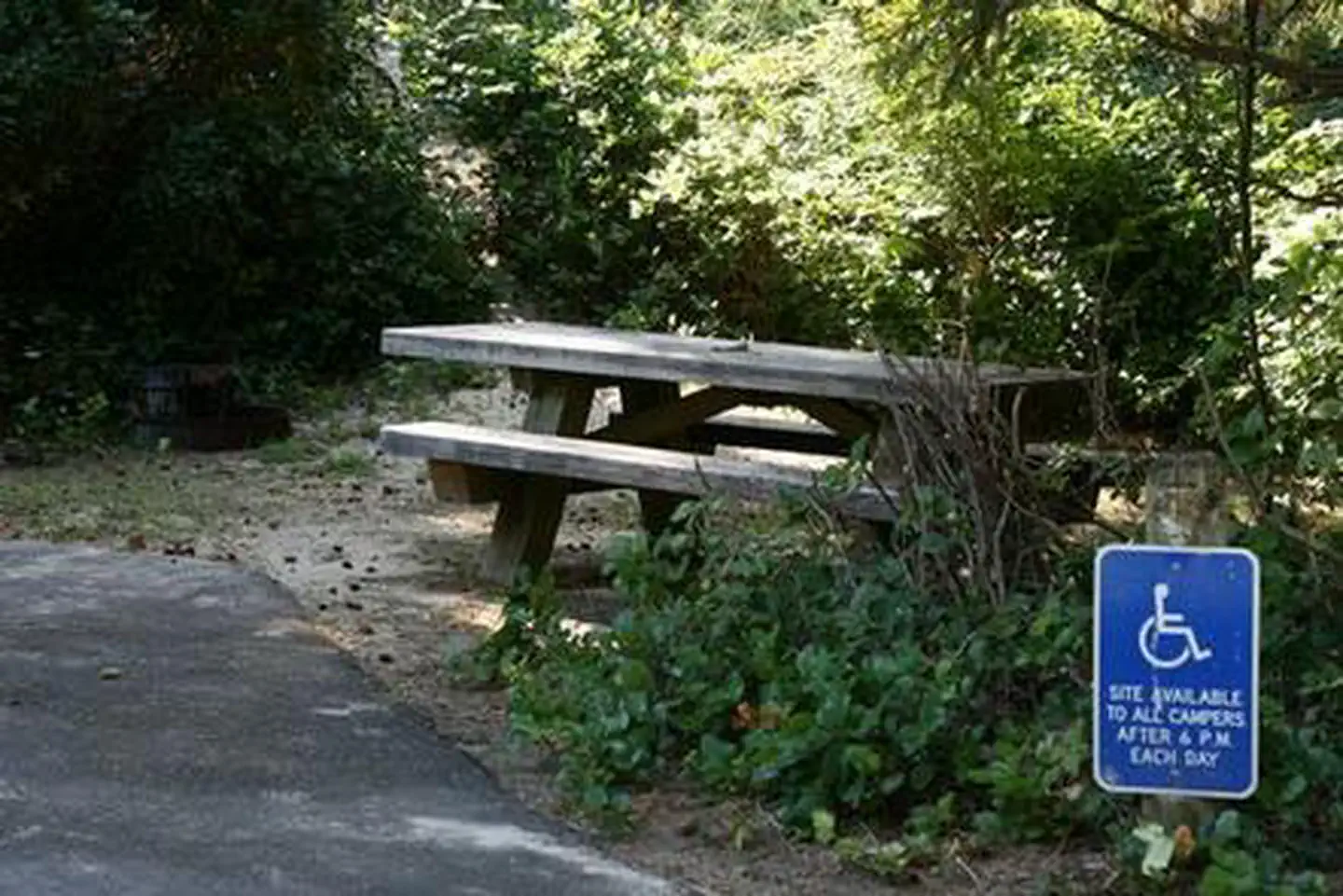 TAHKENITCH CAMPGROUND photo 2