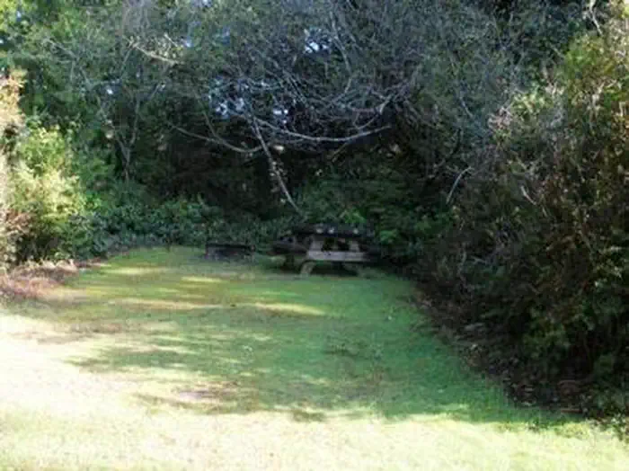 TAHKENITCH LANDING photo 4
