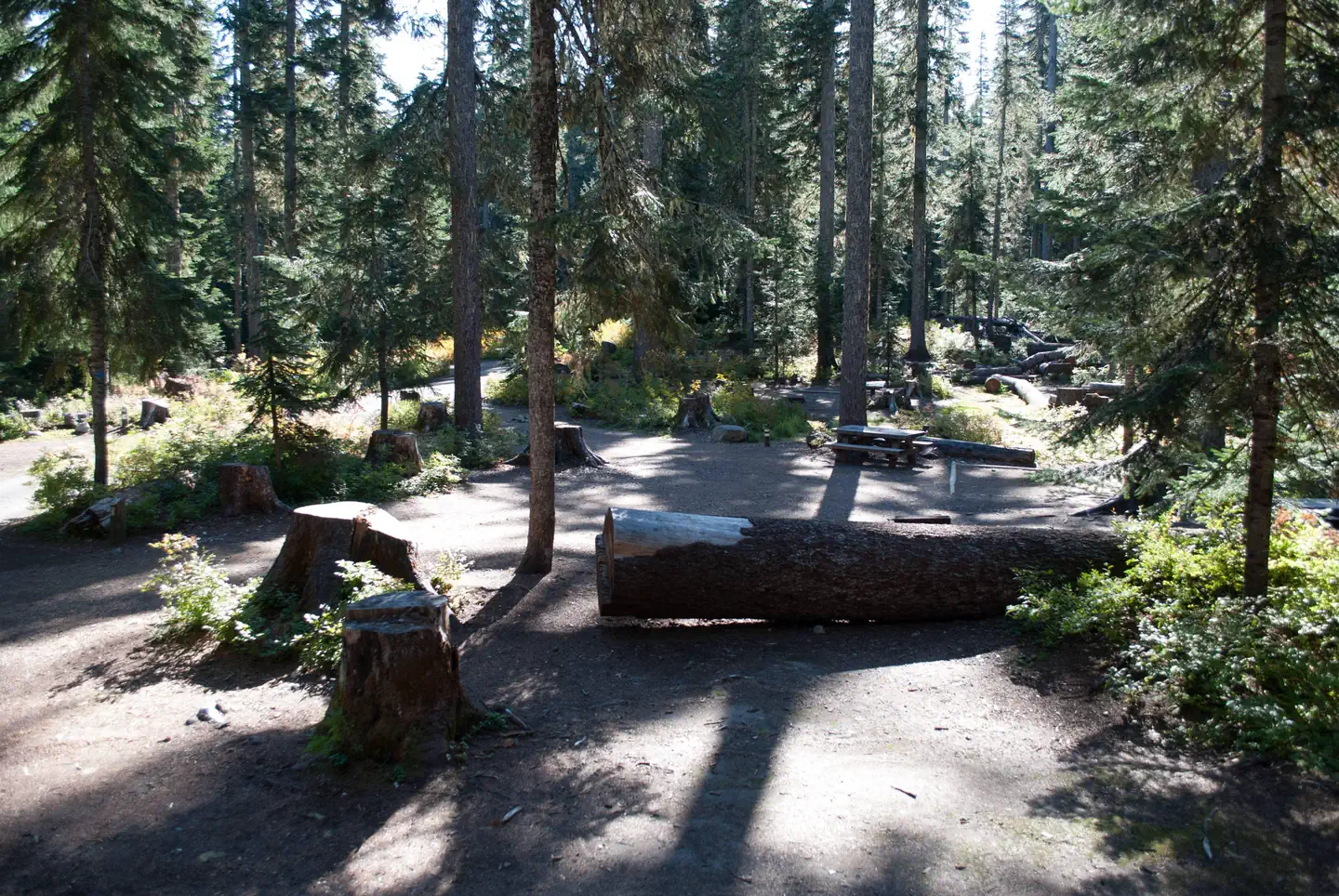 Takhlakh Lake Campground photo 3