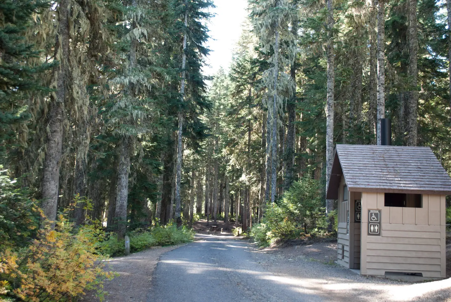 Takhlakh Lake Campground photo 5