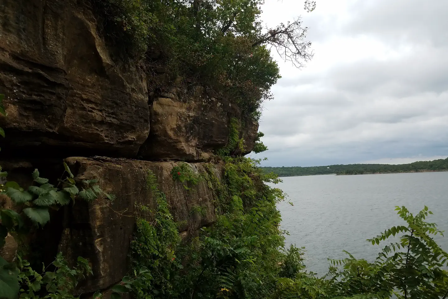 TALL CHIEF COVE photo