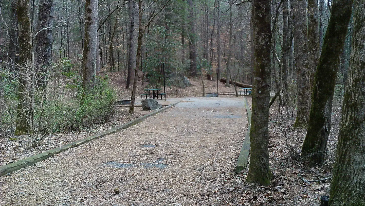 Tallulah River Campground photo 3