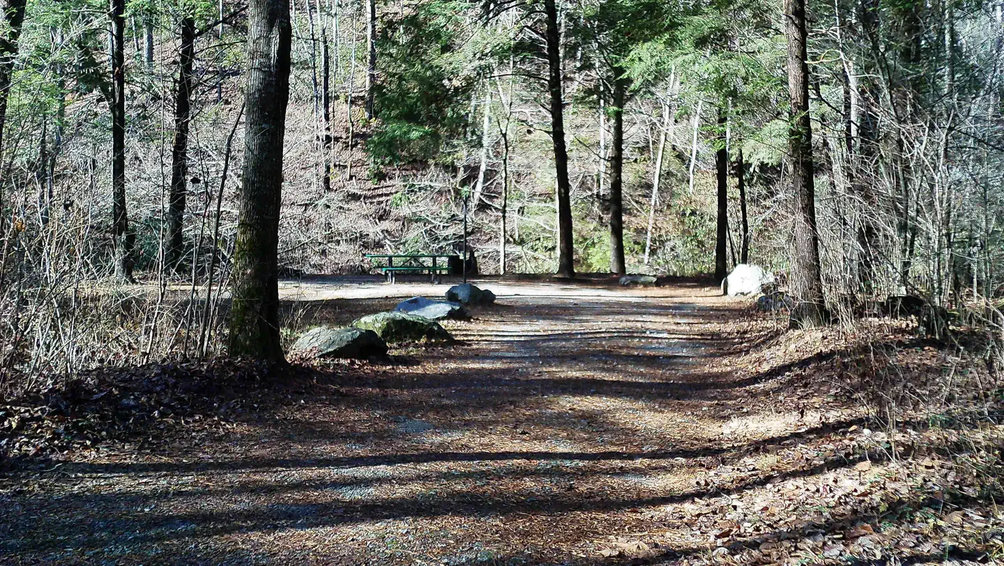 Tallulah River Campground photo 4