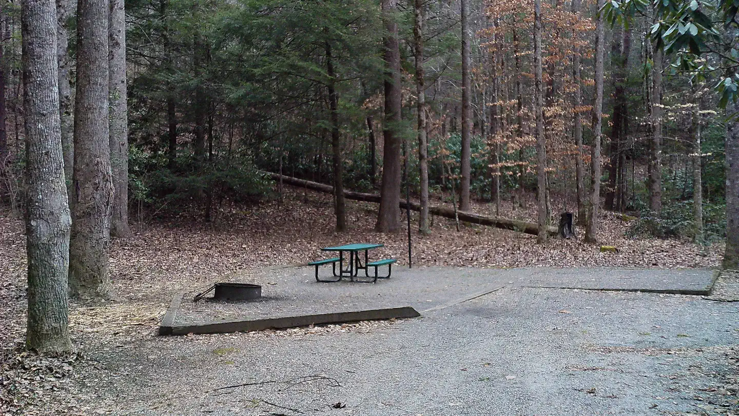 Tallulah River Campground photo 5