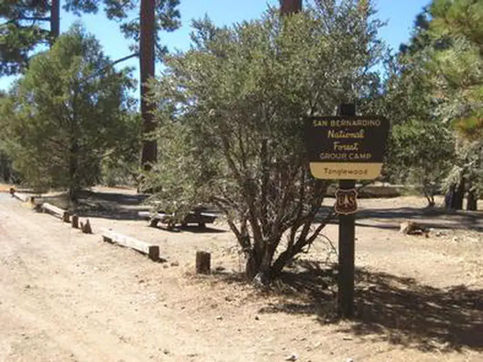 TANGLEWOOD GROUP CAMP photo 4