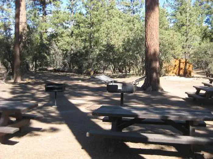 TANGLEWOOD GROUP CAMP photo 5