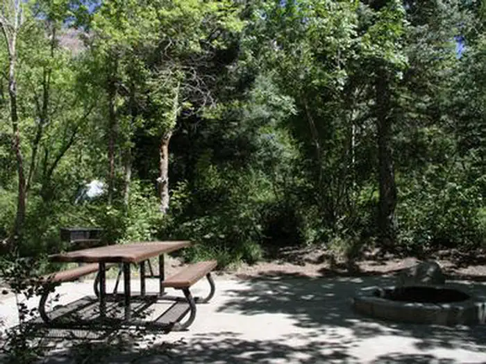 TANNERS FLAT photo 5