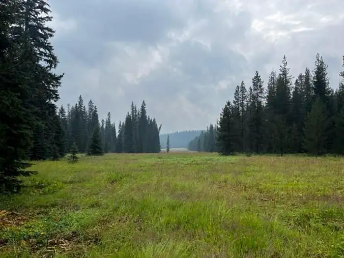 Target Meadows Campground photo 2