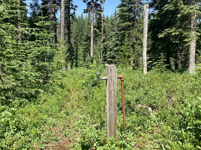 Target Meadows Campground photo 3