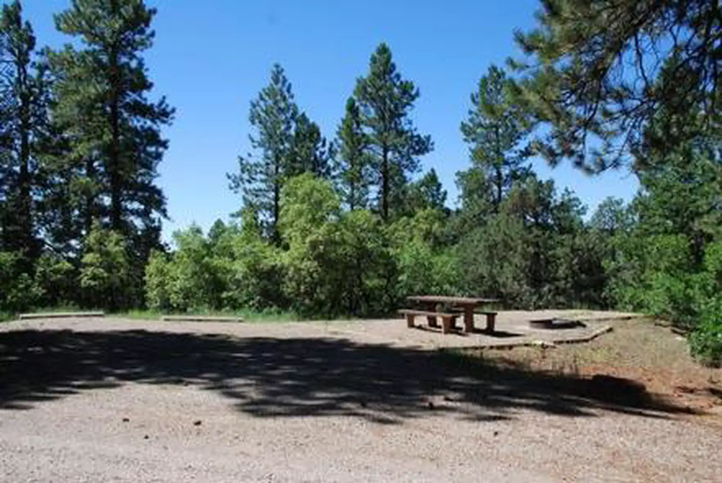 TARGET TREE CAMPGROUND photo