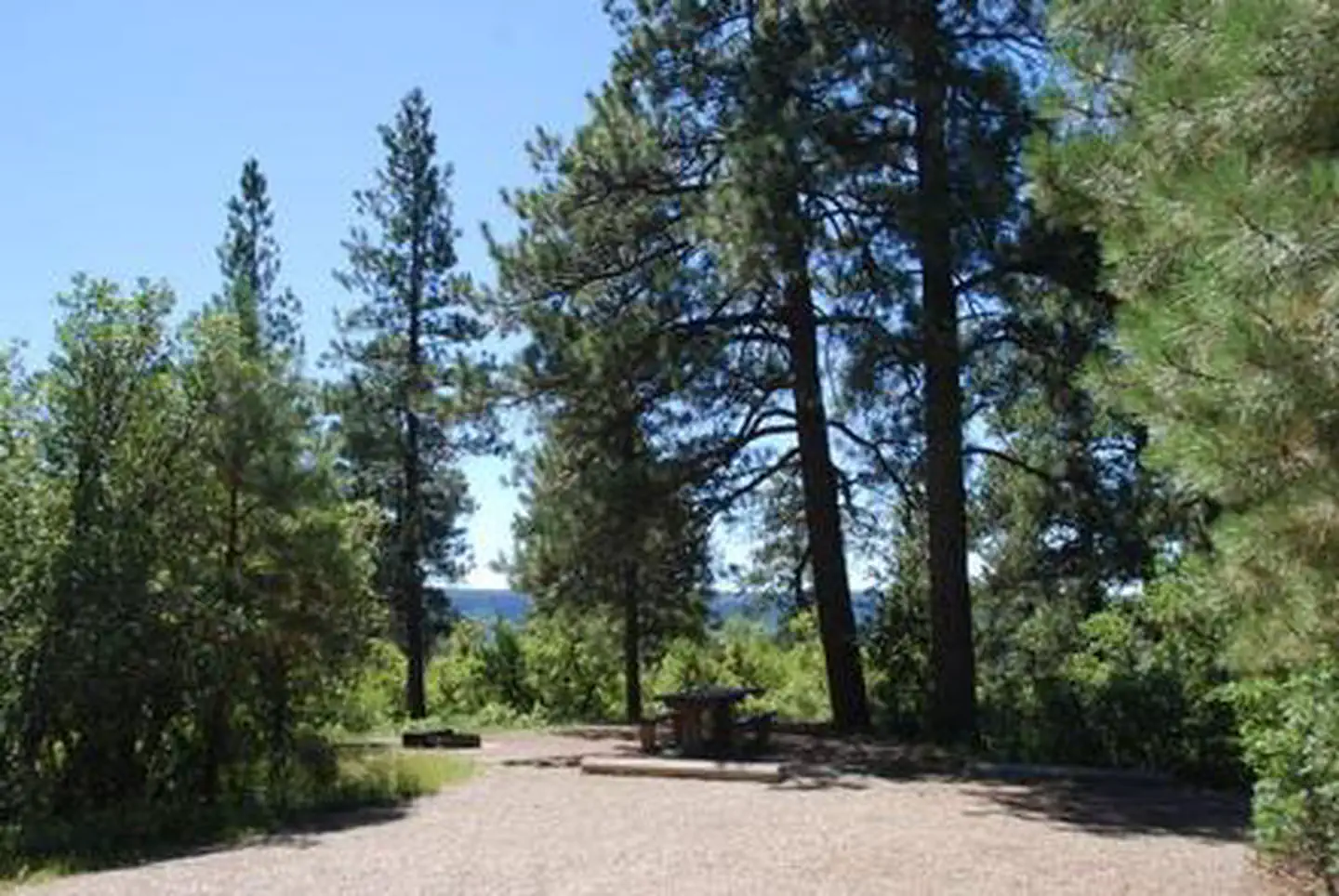 TARGET TREE CAMPGROUND photo 2