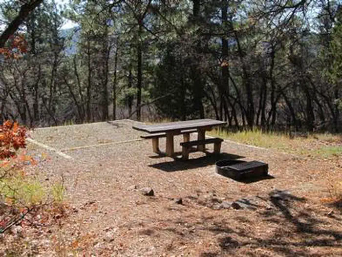 TARGET TREE CAMPGROUND photo 3