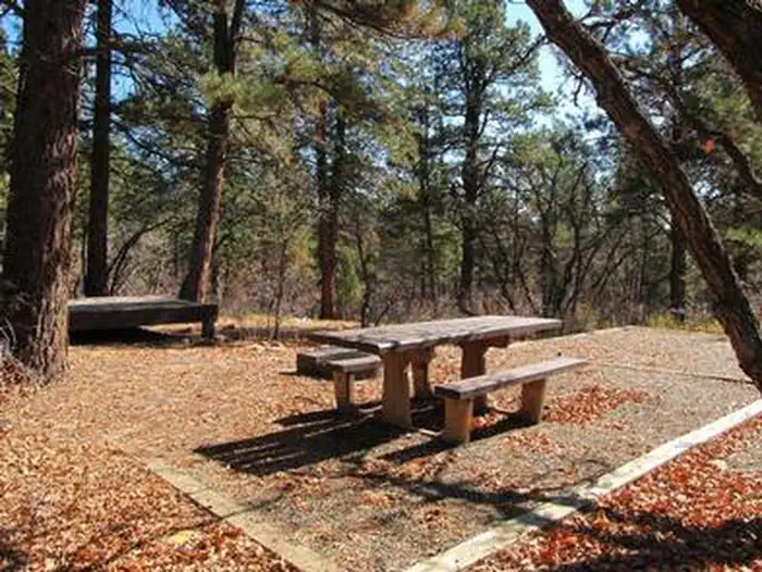 TARGET TREE CAMPGROUND photo 4