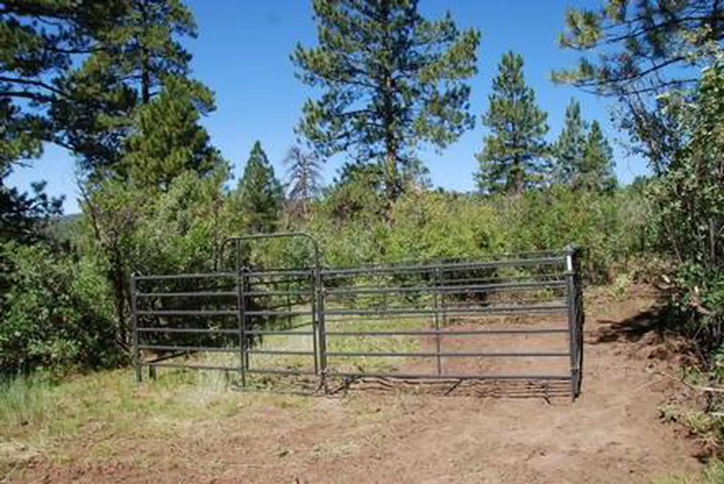 TARGET TREE CAMPGROUND photo 5