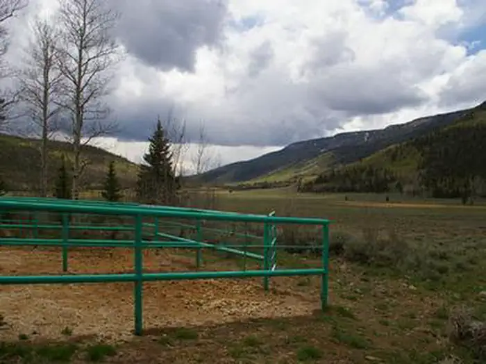 TASHA EQUESTRIAN photo 4