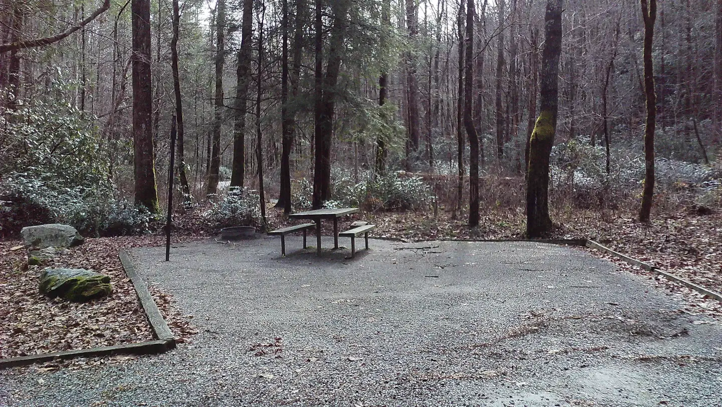Tate Branch Campground  (Clayton, GA) photo 2