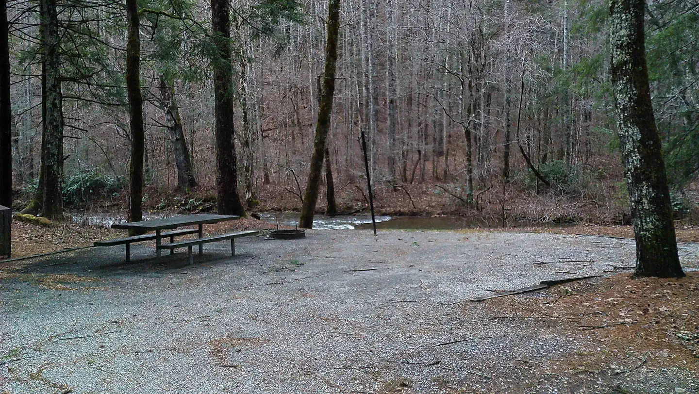 Tate Branch Campground  (Clayton, GA) photo 3