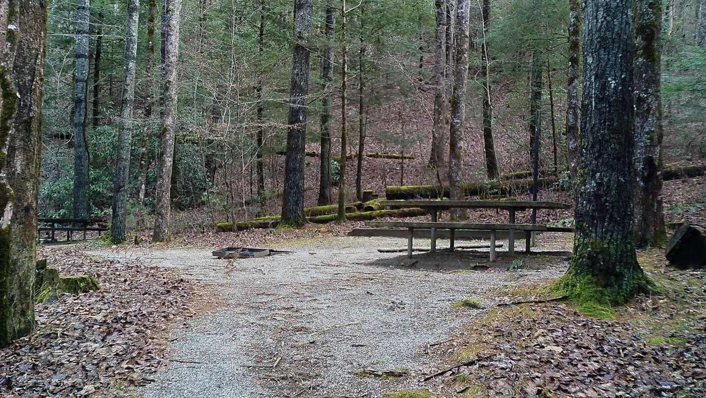 Tate Branch Campground  (Clayton, GA) photo 4