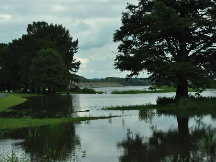 TAYLOR FERRY photo 4