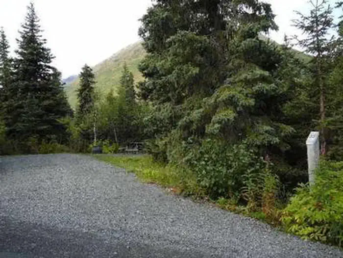 TENDERFOOT CREEK photo 3