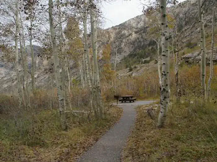 TERRACES CAMPGROUND - PICNIC AREA photo 2