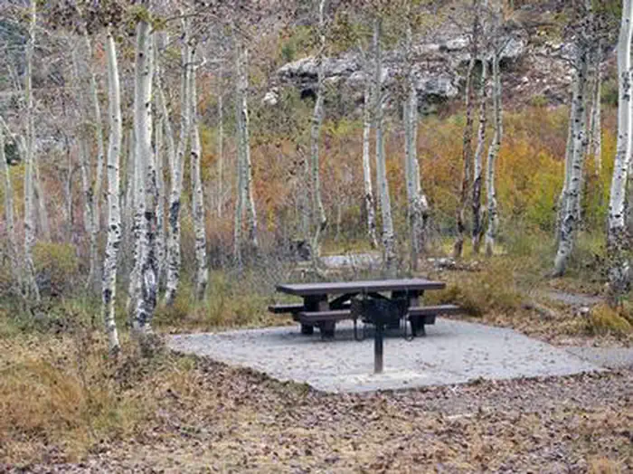 TERRACES CAMPGROUND - PICNIC AREA photo 4