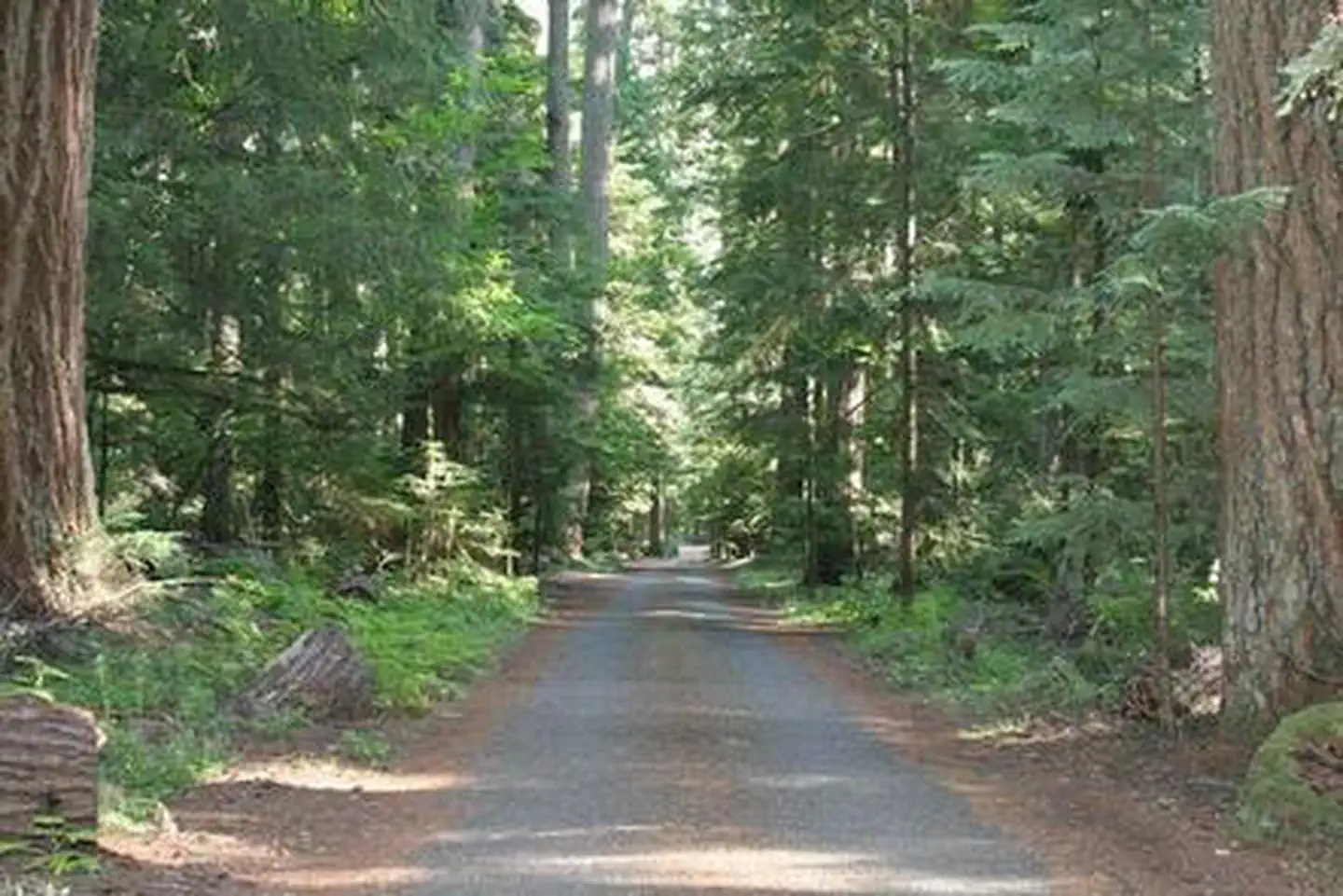 The Dalles Campground photo 2