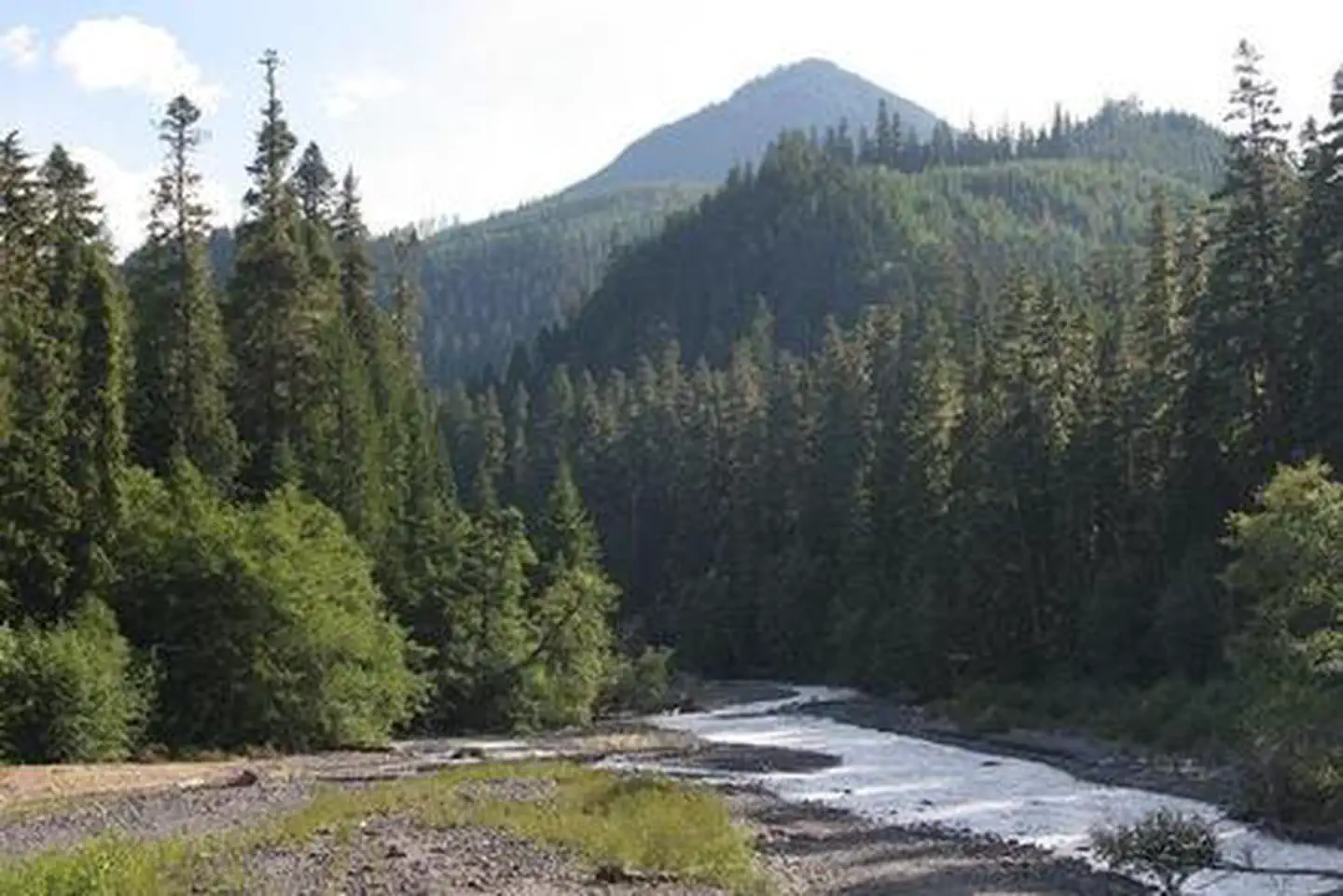 The Dalles Campground photo 4