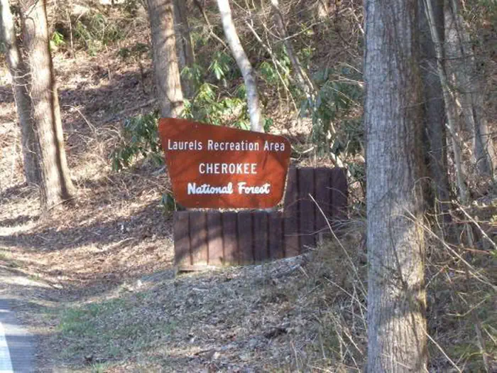 THE LAURELS PICNIC AREA PAVILIONS photo 2