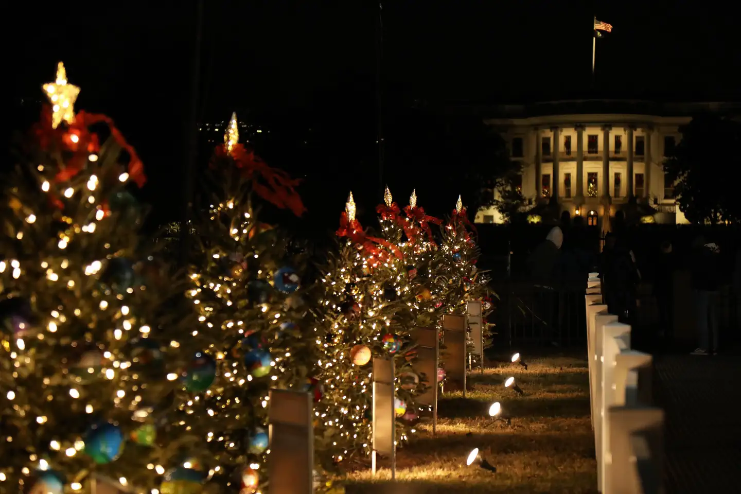 The National Christmas Tree Lighting Opening Ceremony photo 4