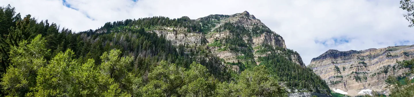 THEATER IN THE PINES photo