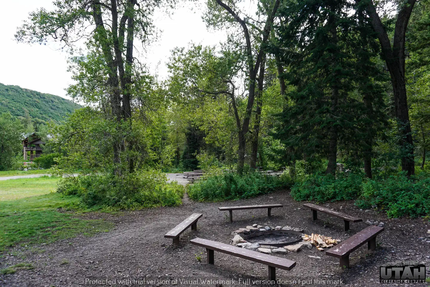 THEATER IN THE PINES photo 3