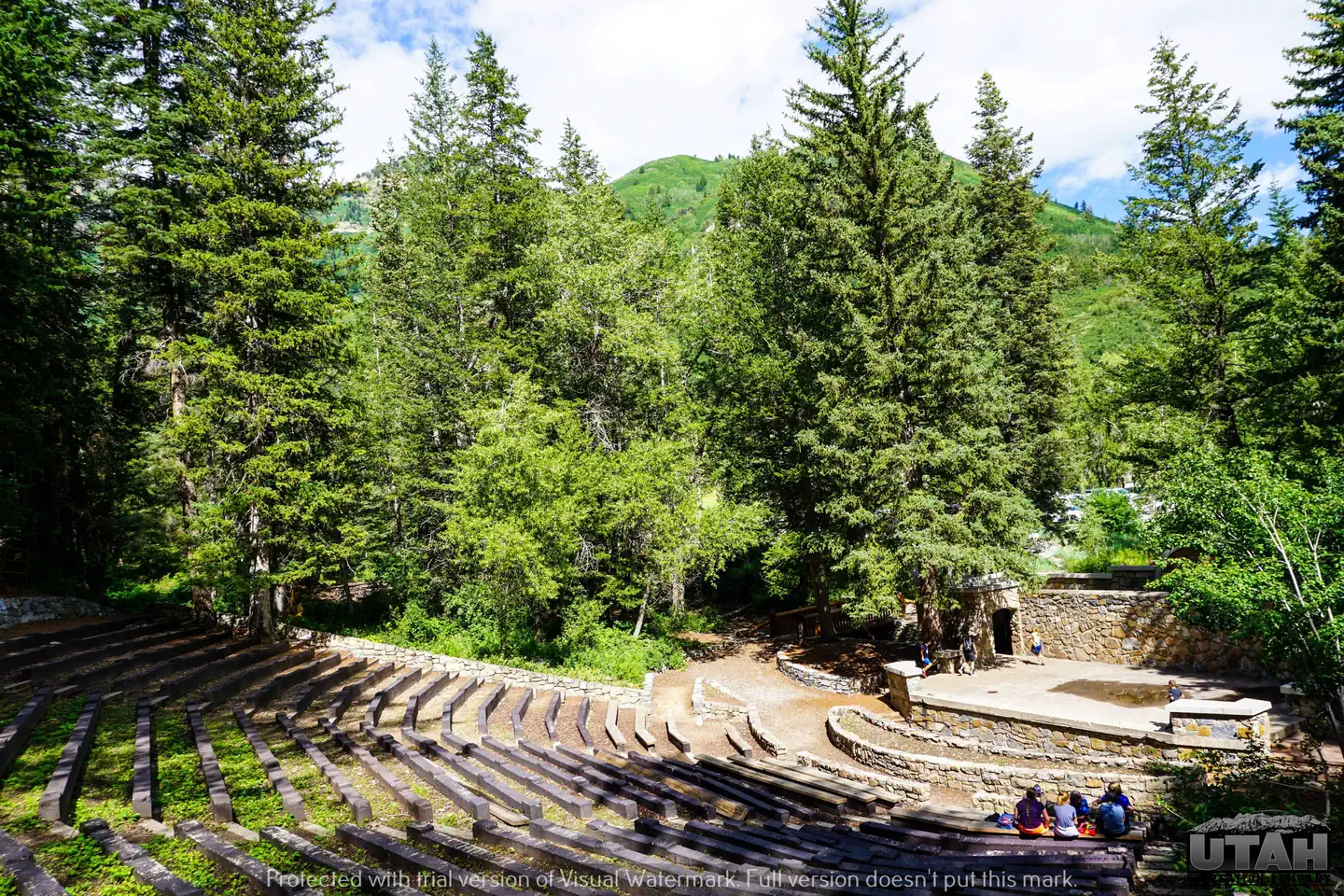 THEATER IN THE PINES photo 4