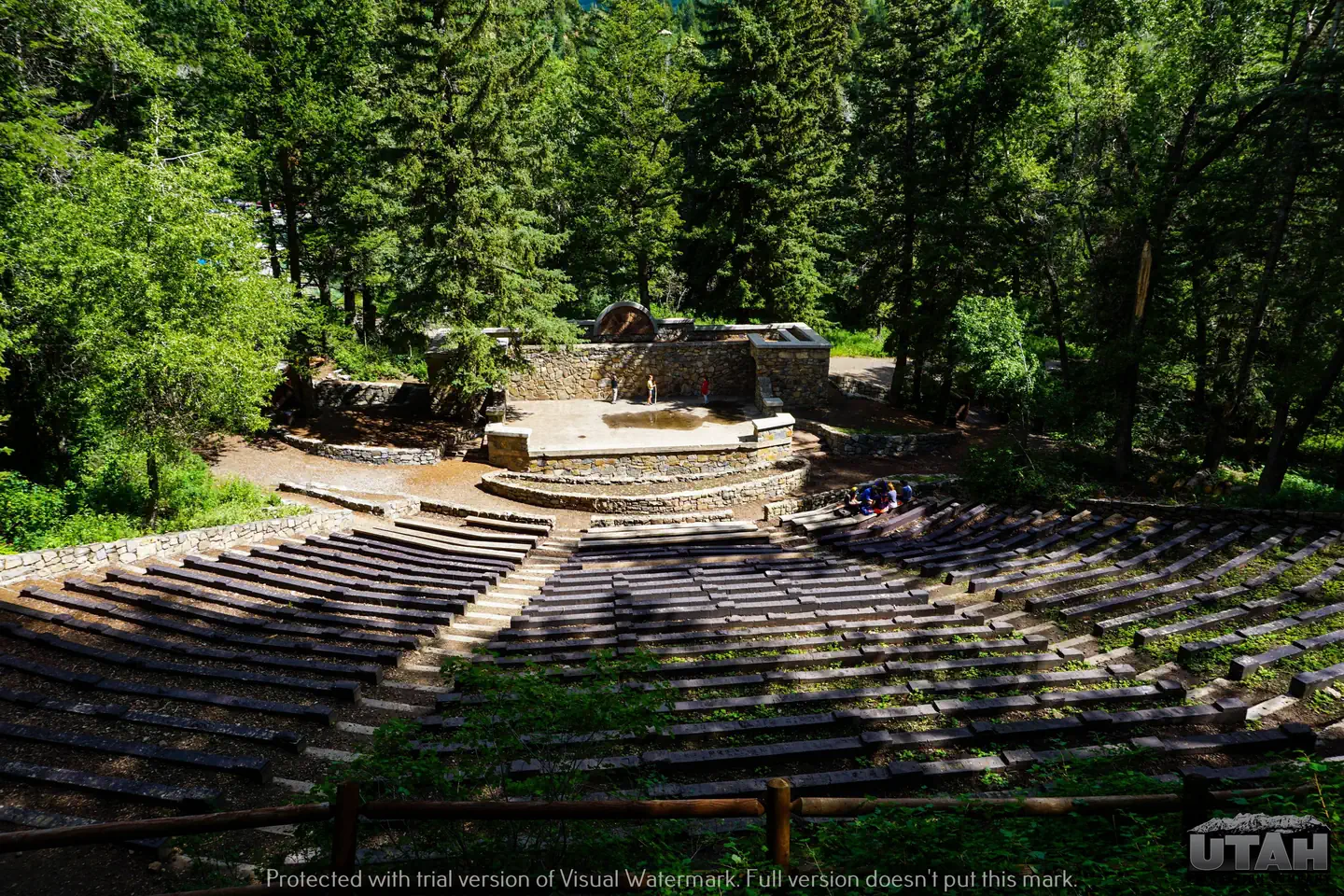 THEATER IN THE PINES photo 5