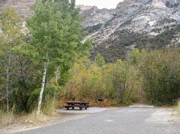 THOMAS CANYON photo 2