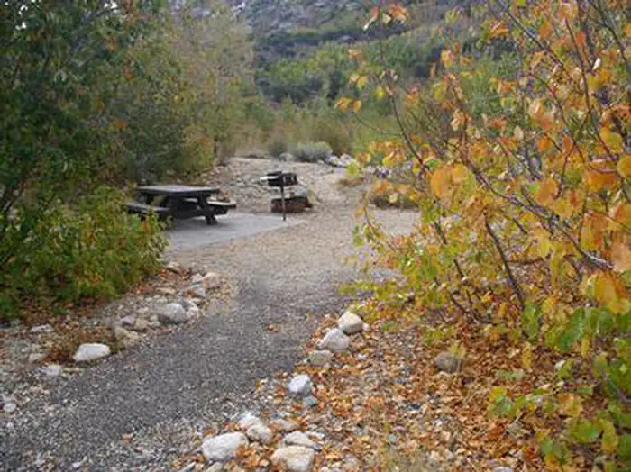 THOMAS CANYON photo 3