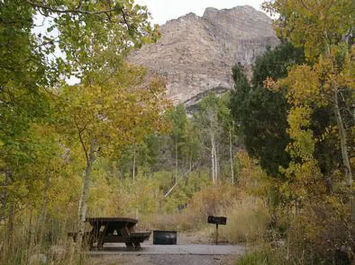 THOMAS CANYON photo 4