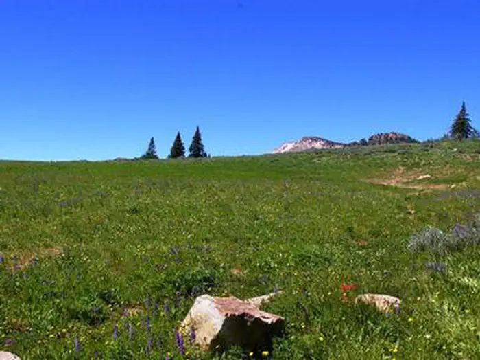 THOMPSON FLAT photo 4