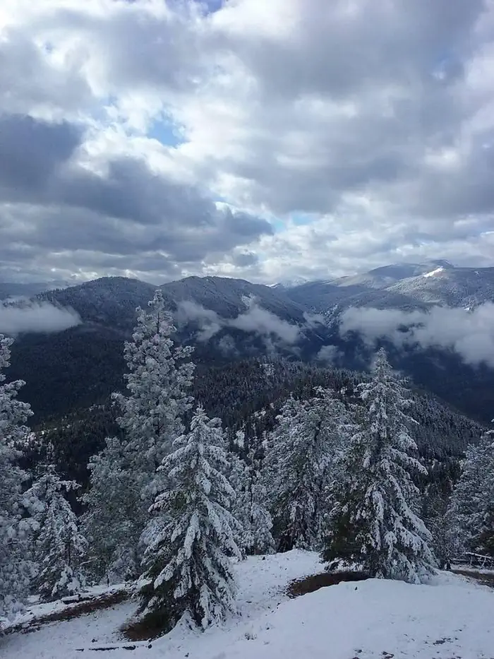 THOMPSON PEAK LOOKOUT TOWER photo 3