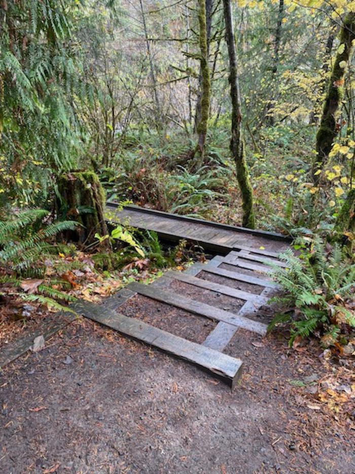 Three Bears Campground photo 4