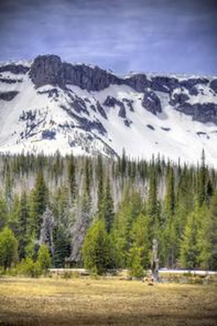 THREE CREEKS MEADOW HORSE CAMP photo 2