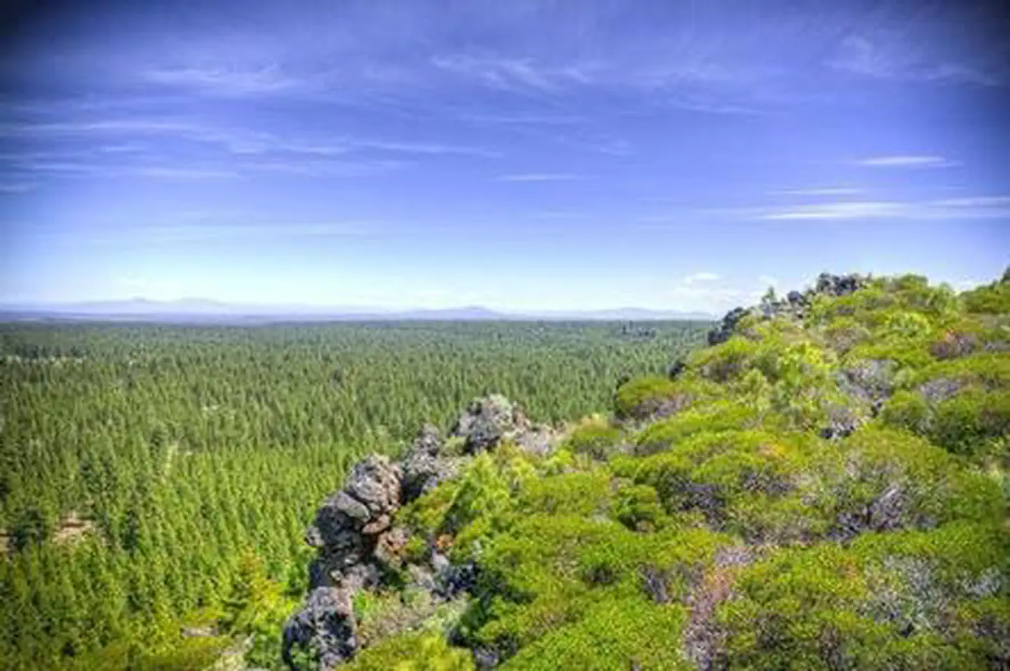 THREE CREEKS MEADOW HORSE CAMP photo 3