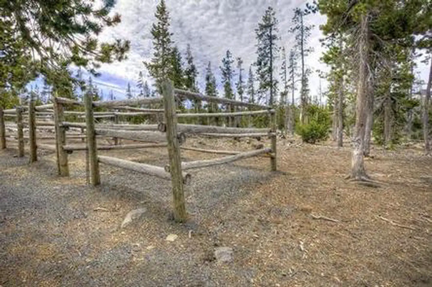 THREE CREEKS MEADOW HORSE CAMP photo 4