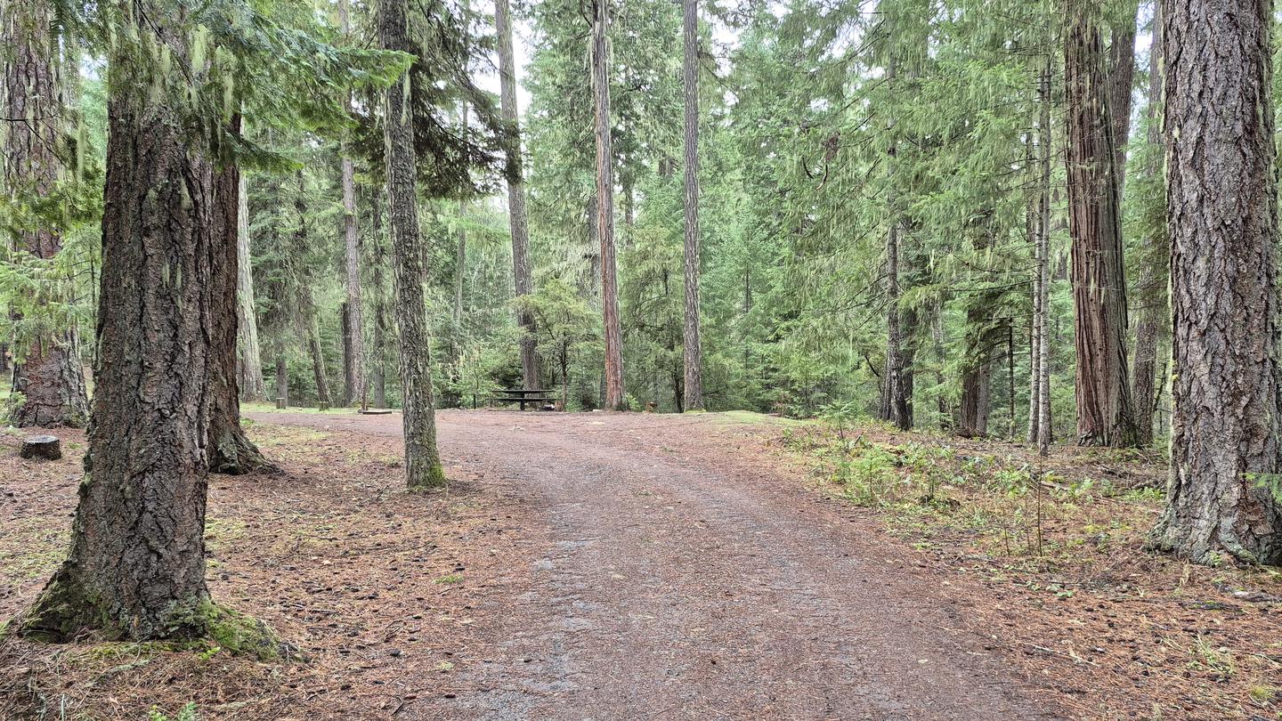 Threehorn Campground photo